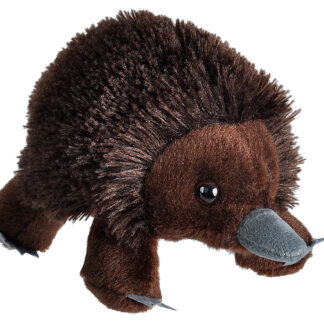 Hug'Ems Mini Echidna