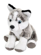 Pocketkins Husky