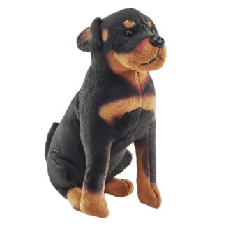 rescue rottweiler