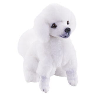 rescue poodle