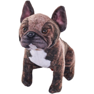 rescue french bulldog