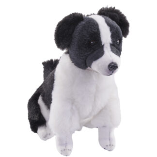 rescue border collie