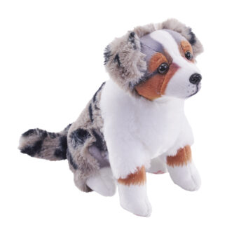 rescue australian shepherd