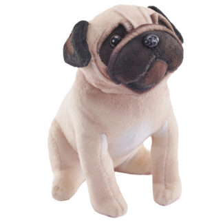 rescue pug