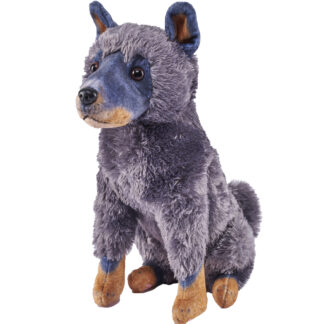 rescue cattle dog