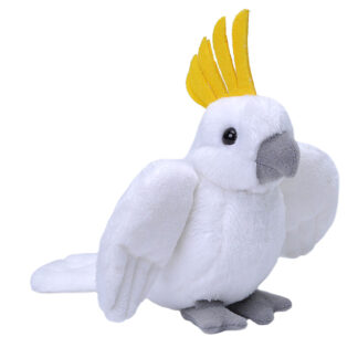 LiL's Cockatoo