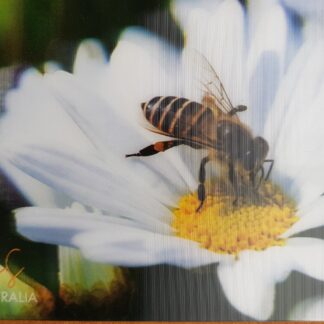 3D Bee on Flower Postacrd